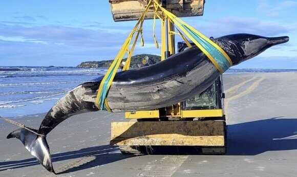 21b3c7623fea51c8d12ec2a7bf00f85a770718d808d40fce4624eb0058f46f8181d3ee3fc473a5c43487130ac60d106b8cc9c97d050196fe1e776634acfd4025