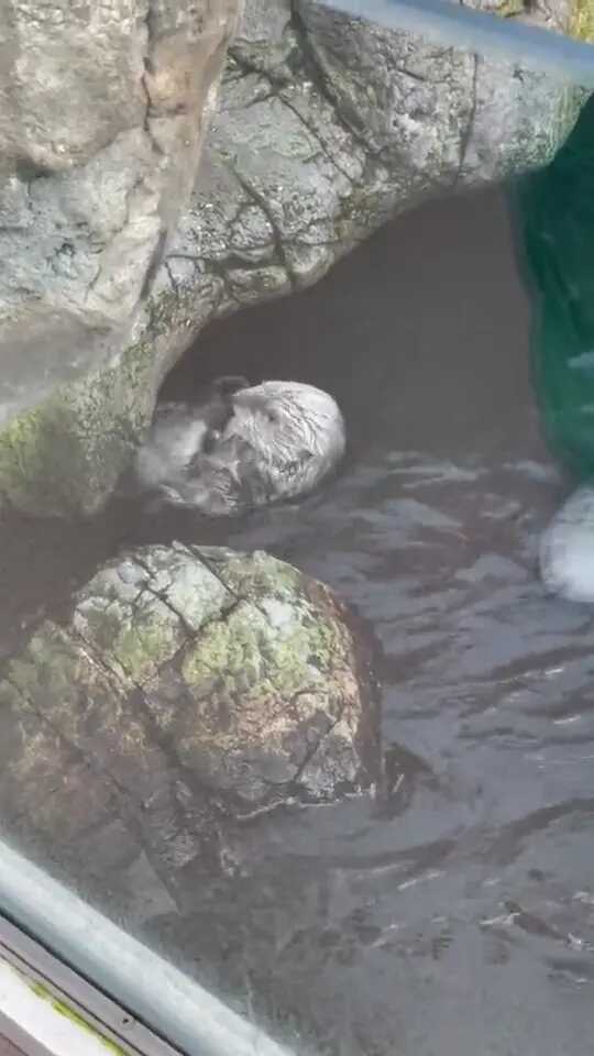 220b917f7d813e9088ea362a6078e9acd10615e9d537d28e9f81fae7d5e36266ed240ee0e157bb9adb3c1850c00c8aaa3d8865895b9e9a8230123a497ec71218