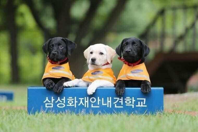 2281e87ffe9f24c8823a0cd24675664beb3dcd0275ced160732ff748c6cff222d86b1b92fe3c9b8dd6fc4d46ae1ce2976f45aec5d7503d341d8ae4b4a6bfa364