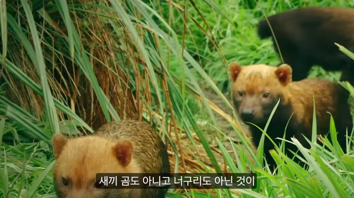 247ae40228fad7982186339416506fafcf65727fbf9d620d71fc239c3ea65d54317fa2d62612f656be99023f61348b86bc5aaecdf9b04ed8ff4902de2cb4a2ca