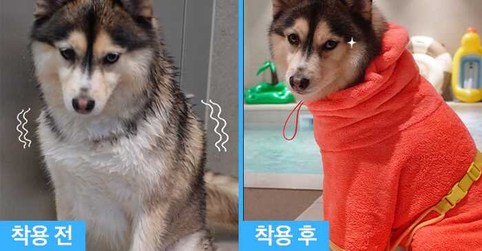 2551a176749fa80a7ccc1d0d8e5f1d761f47332d2a35affa05011c4f73118e86c38ca63fb0fb4999d8ea470b4a78614ebadc6ca8fe0a1f3f40040b9849d34280