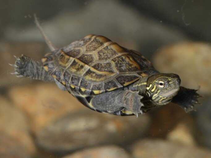 27a66df67412a810860552ff36d991bb7e826f494c6e104f7d5e5b08f398232892867002ebe4de3ee269acf12c3e6c18a2c272565bca4bfa12ca4ddc8aa37847