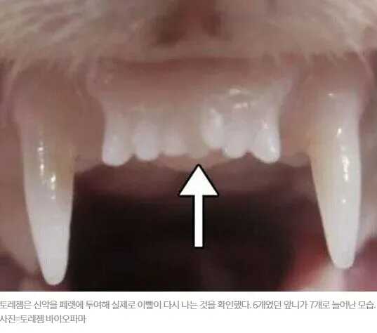 27ae7b03539c18c53a508990cea5fa8ee576b1491d04dbd153d51de65bf094078d5dd6f029dd290653c9afbd43a847043a11e846be06817fdbd81a4fef6e5d2f