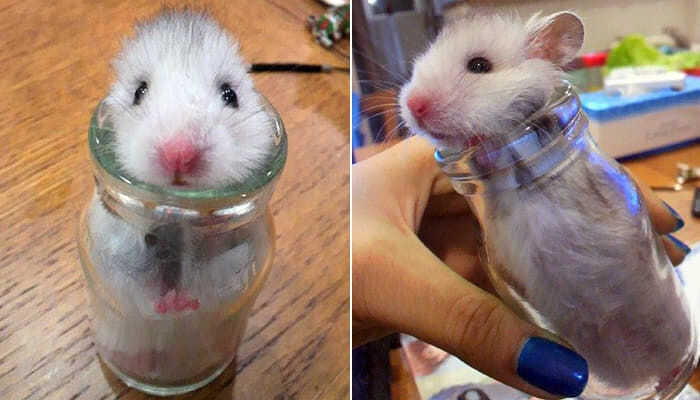 293d4c781e7961fb8d6defeb6eb2dddf8c8f03b13c97cd859edbf5a495c3761d0c4426889af3ed7bba13c63a5ab2b46712a4f1ed2438a30f09b172858f0d0afb