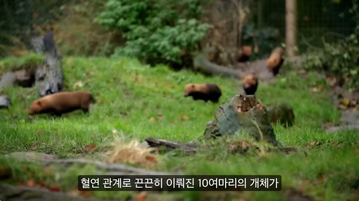 2968745928609ae26c7574bedaca755d5dad9745e23763d3425839c3157991573da8fef6f7aab6d8d9d136dc0fd618cad8625675e2ec449371e10f361b76cc22