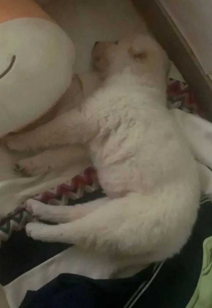 296e80cc0be3a7675c15c202811f04b03c047716f53087aaee758891d0367de0de0736bbb8bc353c69de7f889b32553d24548de406e65ef073085b3fabd679dc