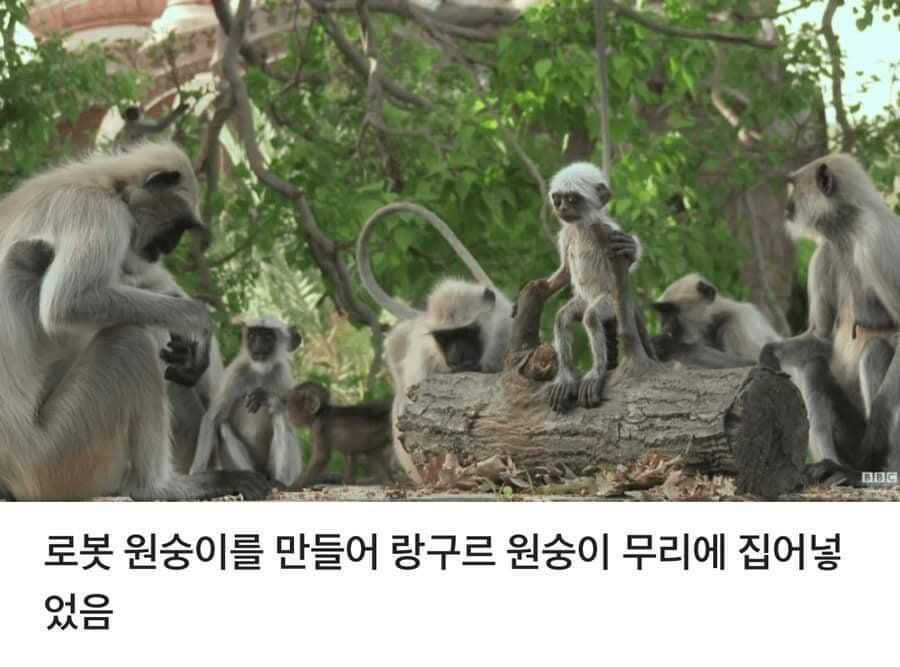 29abc377edbfb8b56eaa5d988e582bb09d4f4bedba7653236ff556a1356f2cbc24309948e9c3e206c979573315e161c556dd5c6fbccc1ba2a9e1321641a66241