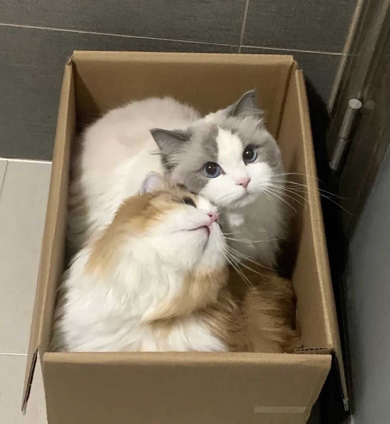 29cbb80d391a4527839eccccd80e2b501cfb0726e171f03f7ae90fad67cdc7aa9224b995af6b5af1838dc5eb3904175dc648b73682967115fa6a5fe20f82fdf9