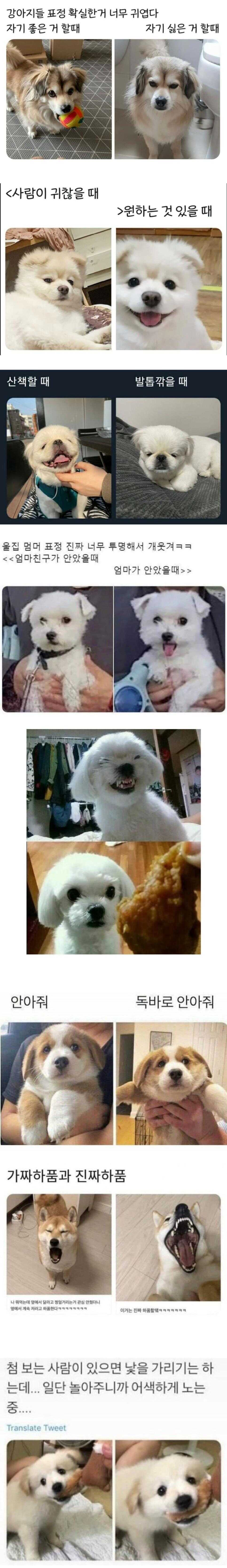 2a574f5757989d02c1a71faa2d5224c57e54ba5ce14b1fb8826cfbc80036e3e5da75e36ee0788d535862d89697fbe7c5fee30dd72bf16c60b3c92c41c2464db3