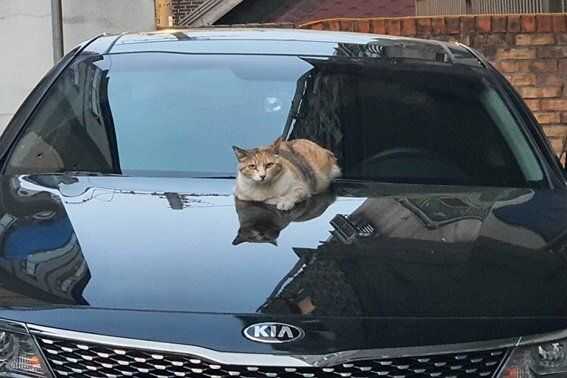 2ab7b7a480ab74aa479bd1b1e63b62b4d632e2a8b6f7204a41f4ad3ede0769ba6ad51c345fdb4ad73ec690d6c82be87173d1b6a0d7a0d80aa257351259d87a8c