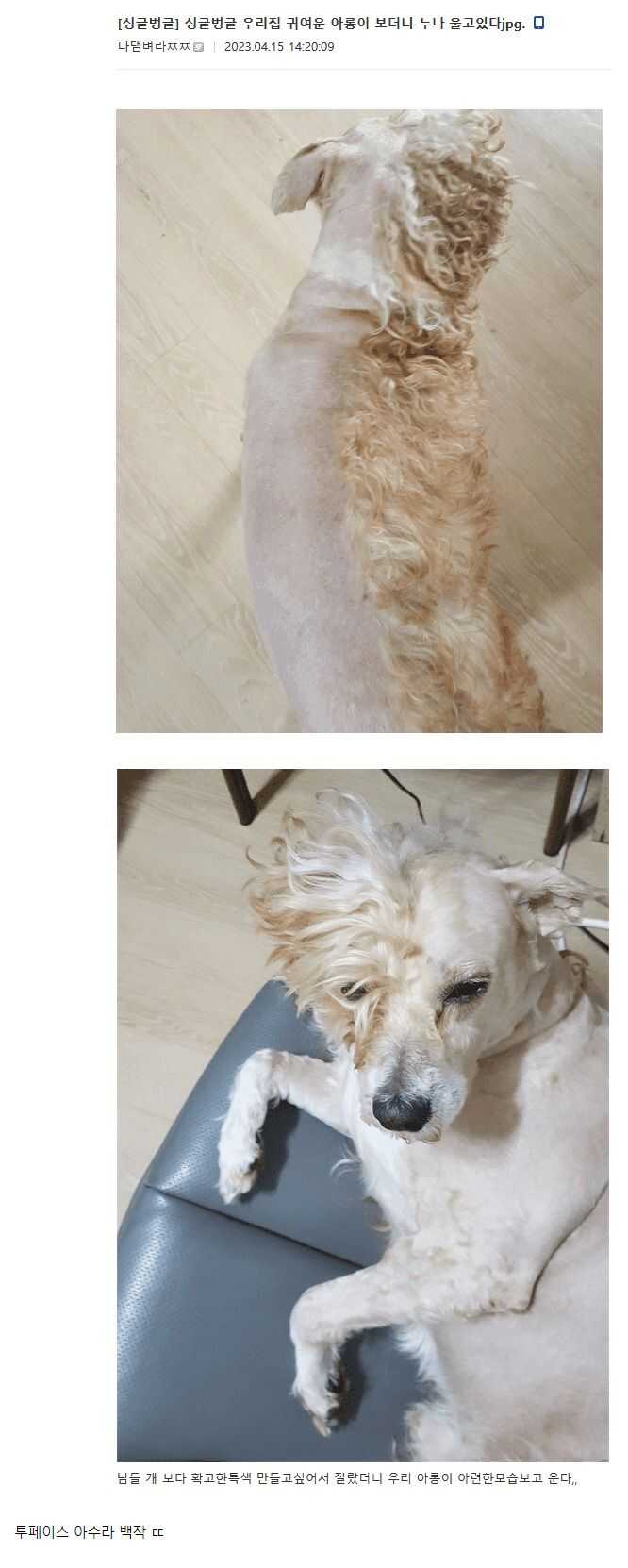 2ac5736ec67748539908655c3360c2b0b33e6c2f2e5fad4fdca41c3eb323a0911ee2dfe9a0fa627592b95274ab17309babfb641ee2205124cfb5d42fd11a3ab2