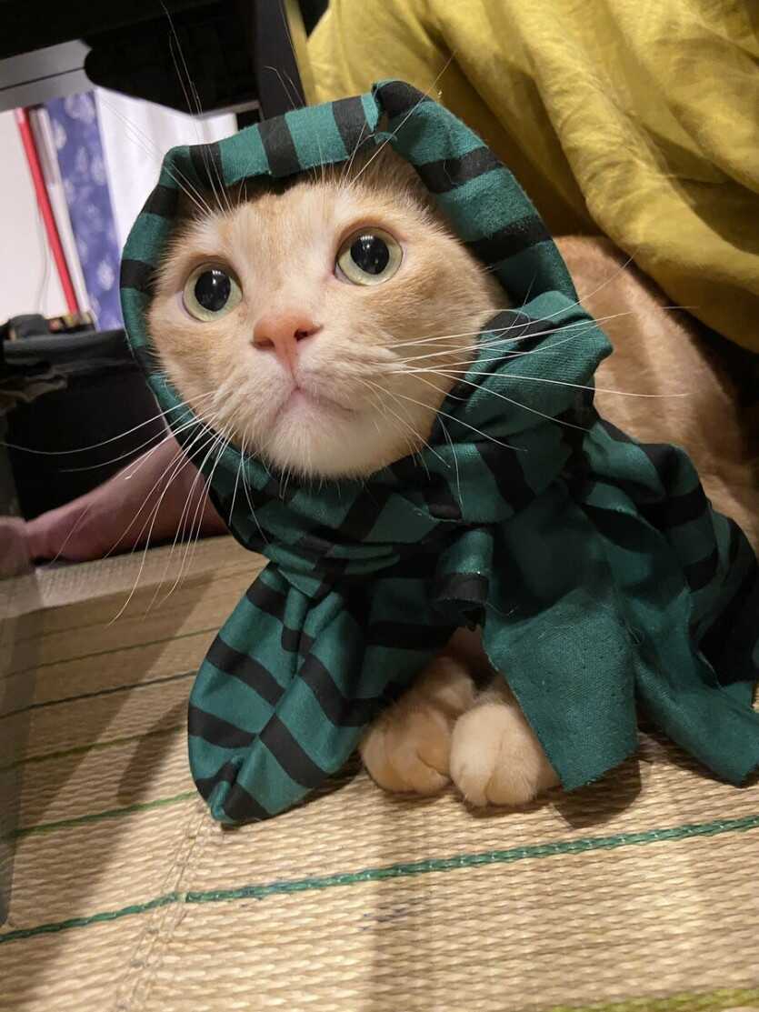 2ad66f47169787a29b581c1fe4957bbddefc50552bcf97a5771a9aa8fa69c6a2b37c2cca65e00e4722dcc352e7a36d5b9263bb0251fcceeb3070adf2abecbdbf