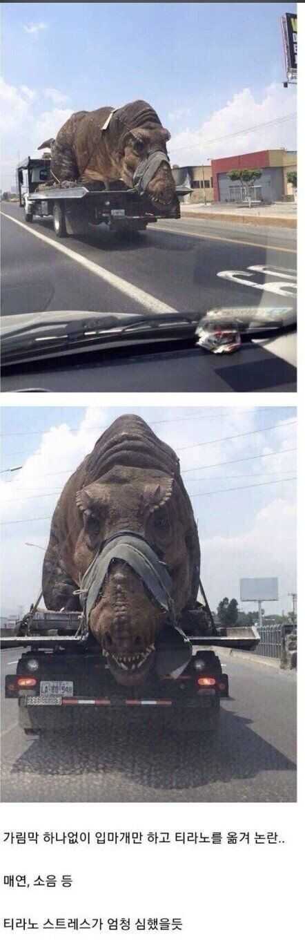 2bb1f6ec33514eb8afe28ac6dc1682cbe2154f90253ae9bc511478cb1609fe7a5f4c981b21ab98acaaa8413c87a02d8c41cd426530a7caff3516dd7f9c63e1ff