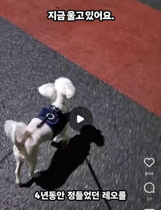 2ca6fb989f92008c6e401d814388d592ee1633cb6440b78c6a47a92a60bcaee3ee096af990deef8333a7c4e3c6079412e7123ca6a771f3fad50fcc3a38f9f318