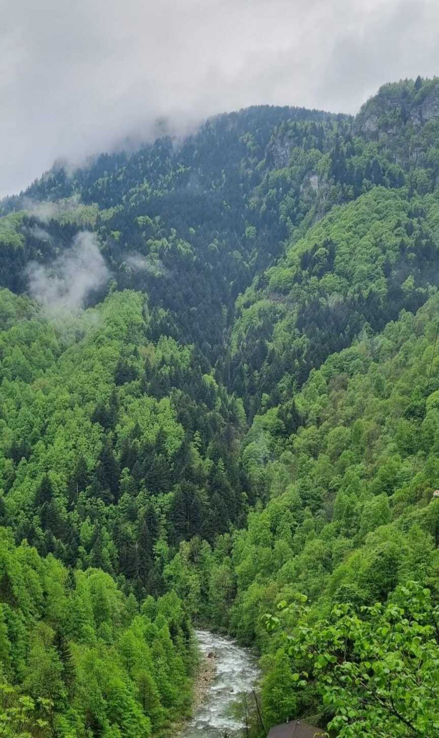 2d8f79d413e13db77686ecf6a3febdbafe37f6defe551d3dee6cca48fb016fc8537f5ec8e769188630939874dc287466a243ec18e0e42c3a2629e6215fc3352d