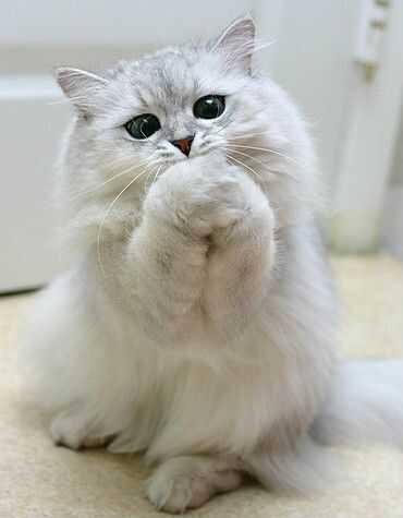 2ebdc3c25374b8397c8dfdb0623fa510f59342809d20277a69b15598c7ba5045394b3b203e02bac05359a789157fc19273eed5f96468f9d63e7e5db9ea944c0b