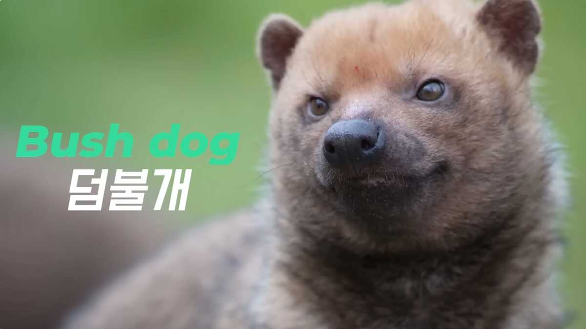 2f1933a9cdeaeffa2699db0a2abf6a42acfd7a82ea94bee7570727c4659bf7a4d5b90d7f15409cbff76137ba6469b656bdf583c40232396e1f1d291d76da176c