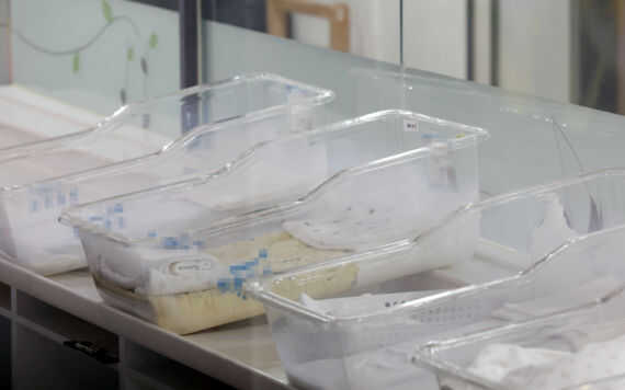 30ff071a20682abba98e6e2ece899c6a48df62190da12f68a396c8f8dc49c1f5680c4d68ca705f44f6fead229701a6ebe87f4eccd871ea921134085d2f6579fd