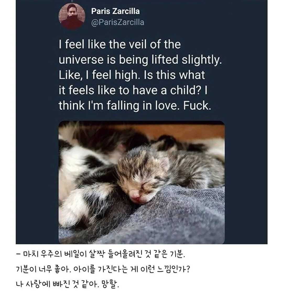 315eec9cb759d1769b2137f39fdae46d4442b5bbf5ecf481ab20682bf90c16a68edb9f127ad24972431684ad267828345837c1526efdbedc64613d72d1963034