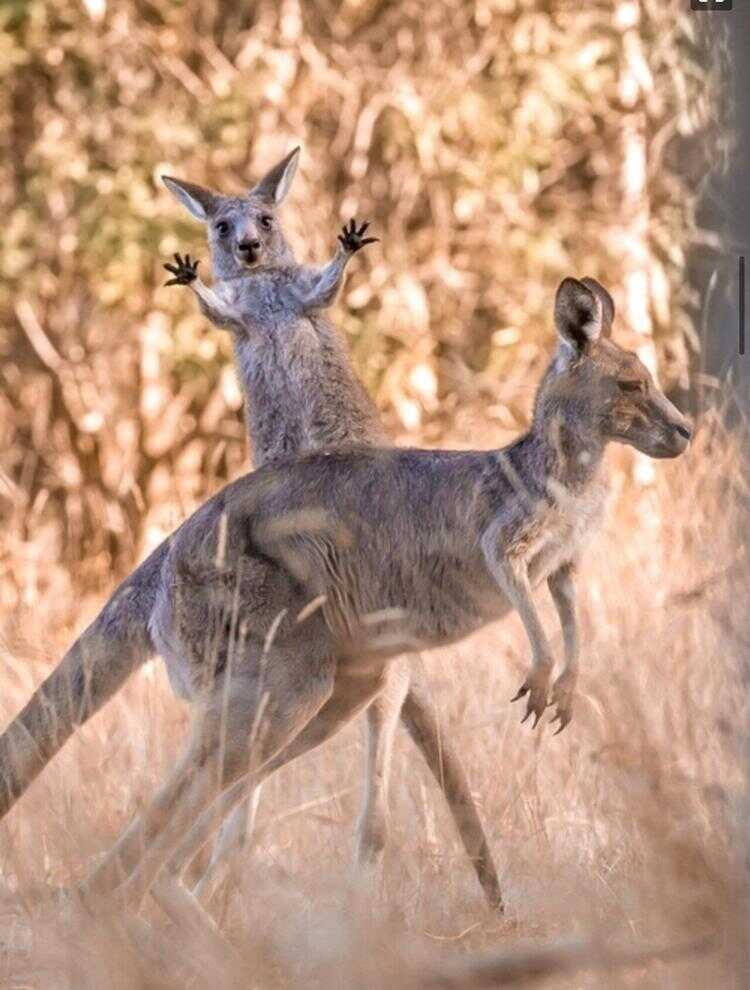 317228674664837a6c0490228b31e5606d76540b584700c338b8e3e4c56c0d6b8d057d9fc83d9785bc4291bc33c48110cac5e70f45cb65a63e0bf08fe3e38faf