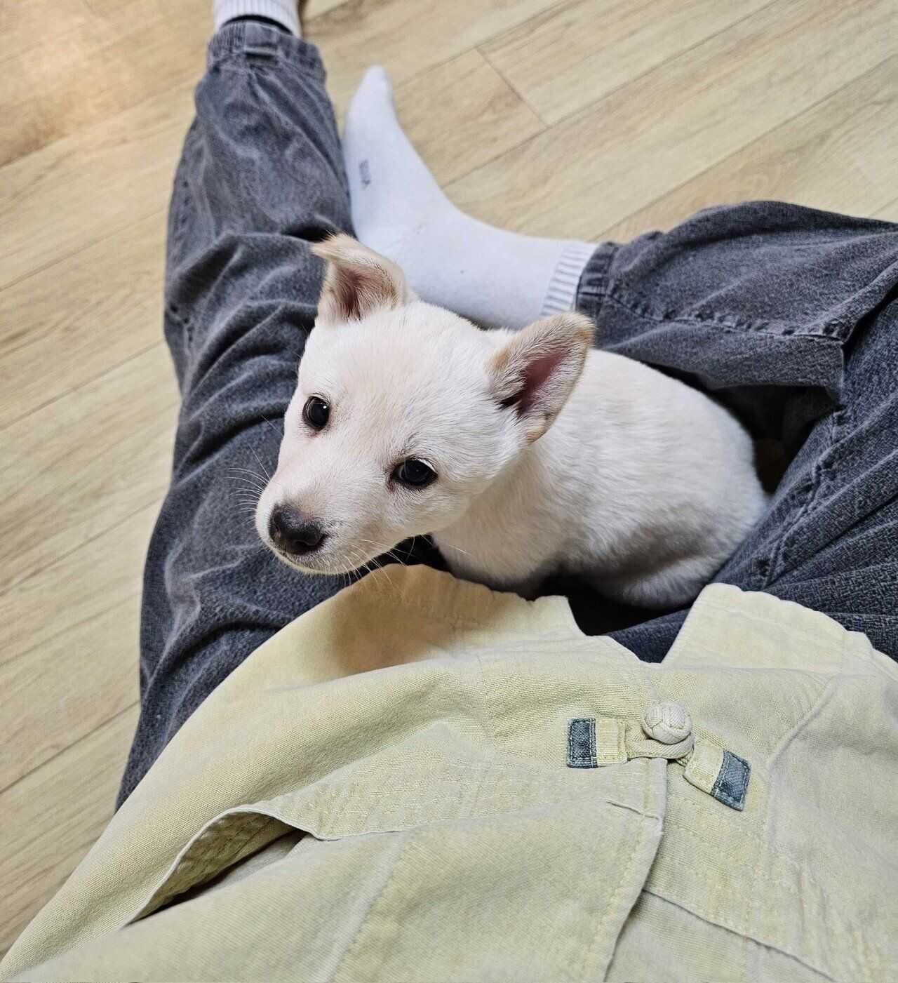 319440a0f463eb2d9c74a4412d62e015fad25966f99270a1d9b3aa8a3fc0e0b7d043664cbca384a34abe87d6336ab11814a7625d0096aa0a3ff6e24065916dd6