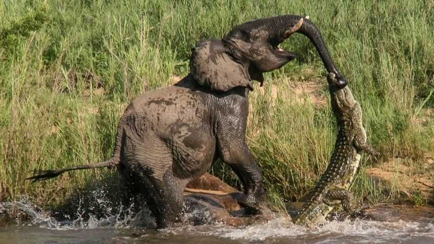 31b489747581b6880520f6b8f044046dee741570592f7a348a687404ae4d4b56a3111953aa82d3ed5fce3235d467f9b4da8ef4c46207ddcdc8dcc985d0b9c871