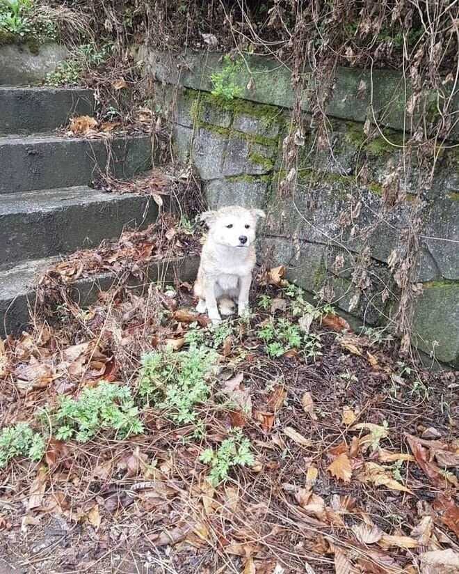 31feab8650a8092b3df95eac9952a48b402cf4bb38e592e42269da9d107de7e1634b42bd7a957cc99046e364bc4fe4bcd679fee0177aa5ac97432a52a8deb25a