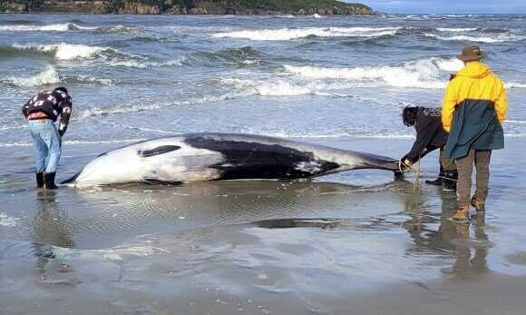 322129dca3ed62e236e68267a8886f8216f476bcbee361ba8e7522571ffeae8dd7adafcfcaeb8d915122f4e85e456ac5c95dcd62e3a286880016773e8ed1057f