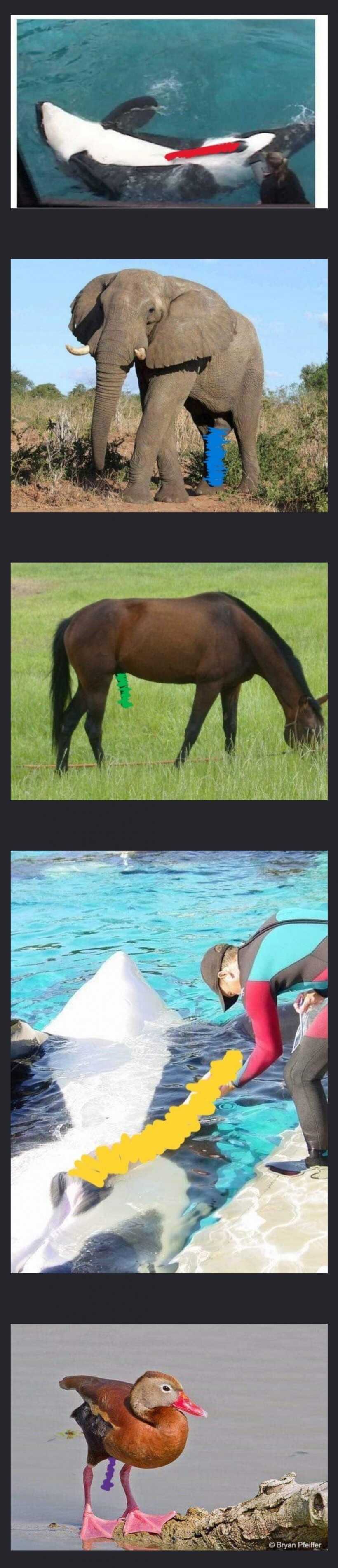 32a3701b21a87569db579fec8971e55eacd94bebd84fd42b006b36d57df3d2fd41131dfeafadec78425af630c14d1e339ab21931f22fac6bffeab8b768354d98