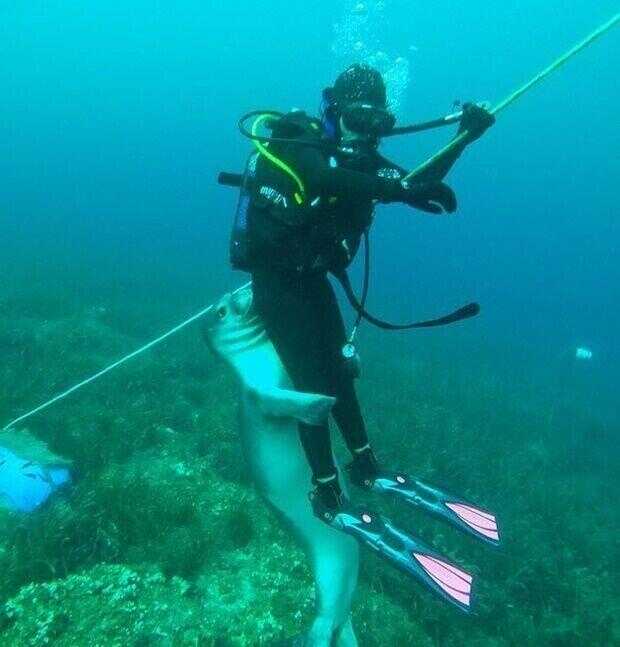 35cf48de9970bceca2d11309511cca2d40320fc618c557f5bbfce846e0285093386c274883e35bbd509404853b57e3b50aa06019454c5fd5b0f2268aff8ce57a