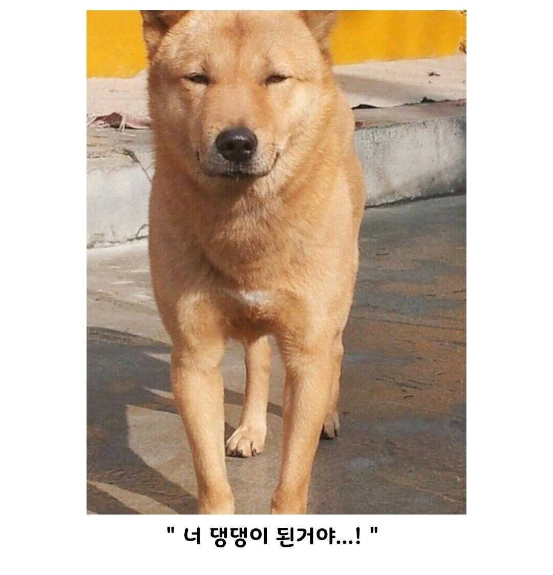 3669bfaa8bd823664763da5627d8a1bb5d9ce737dc361d5fbf90de677c56cbfc805407906620a242c29189aebd660bf67b93d680d6a27d0b049e05f17b2f7ade