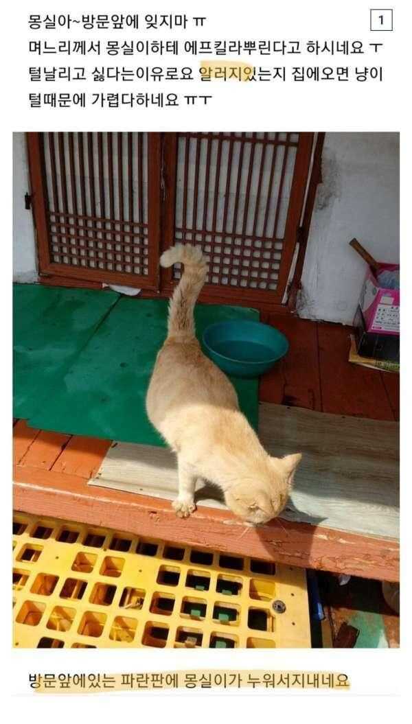 370ebab021304933e9727059f7b1e6bcbe804e4bb68a1bc31d6c281d3ab8bbdb277add0ddda72ae6140c3ff591e7850aea52f9bc51f0293ff87bdb9c0e5c6918