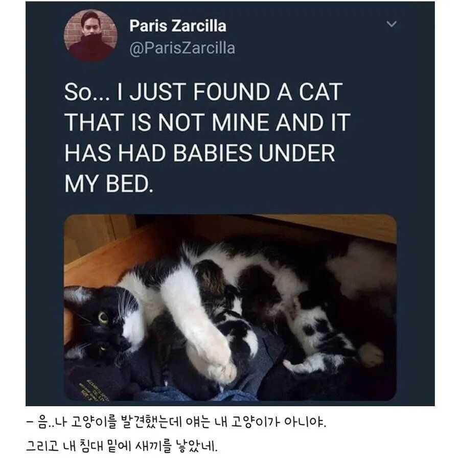 37e15afea8f151da4b8b27995604ab1a0ab370a43087e1d1bda53fb5c84e33c1e24a871e85b196f7928aa56b28a1065a5700d71a0b0be6b6cc40e2cc7aa46047