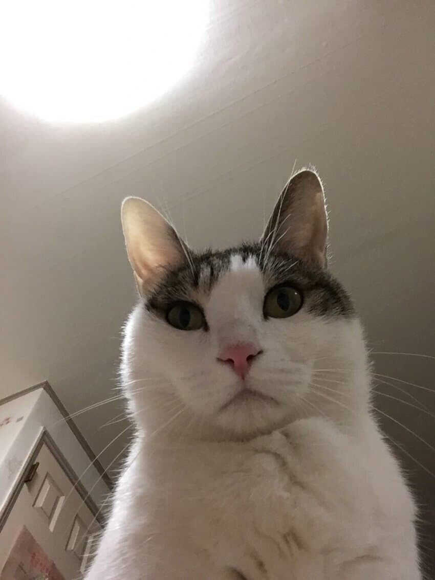 390242a77c95dc3dbf11cc4ed8530faa182470ea8ab8a9ffb45a130312577cfd8ffd7ce0bad8f74703d9f9a9d7721eac0dcd6d48d1726ce7237619281f3c4bf0