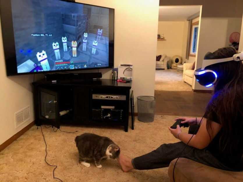 393b012411bdc0c7d5d0baee3592b89e2176f0c5f6266421909f0a5fc17f9072fd14743b3455ae3fba49fae1a1323bd67e145a94e7aaeae90149bd6f1cce5b3a