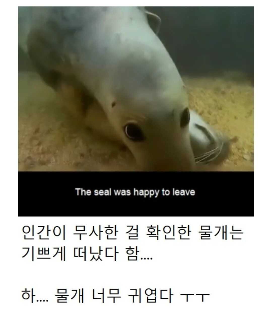 396bf3ee366a8ceeb95fc5fc9a7e191bff1bee0a1de07d9a20ea8e985c7347abbcb8ee19c4f14890b7e2ca83237dccb80b3e790f5be3a4e14b7ae4d539566351