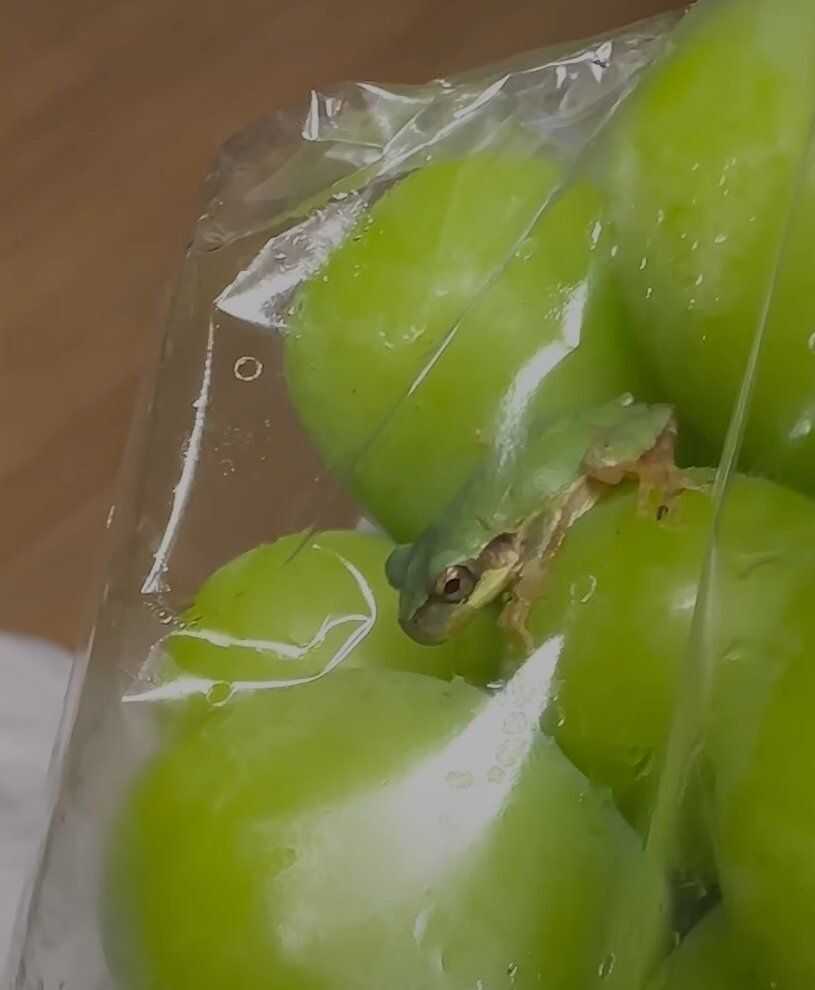 39a25a3c64c4005b6e4bff9501ad8441416c22e6cf93ea3bbdf30ca5906d1f976d61f6368a39260d431f4112d3a1455903a320b8bc6199bbb6880fba7680d4e5