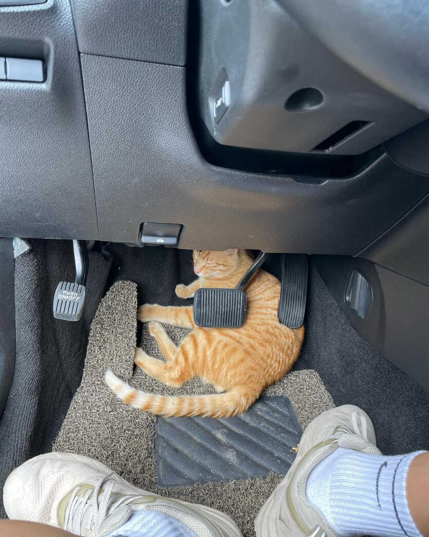 3a2c124bc04c1fdb89e0d7884e9cd76d3077542fdb97e2ac8a345420c3ba1319397b789ac514bb43b967a95f5cafcfdb3863da05bd4831fee324abb5b7b506f6