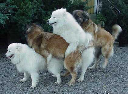 3acf0de47cff3d099667d0adc818344d7391eefb4b20d6cd919291e076d95f17592f23a42f70d81e53c447bfc17c6d21af72a248afa706096d591473de7f72d3