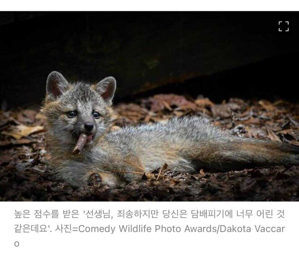 3ae50c34c1de1cdf80c42ee436b716c080bc727487bffed08ca9f4d187f1661d15ed24905081e2f873c8a762bc29d9ff4c5d3059713f95dd7ec7c59aede69d5e