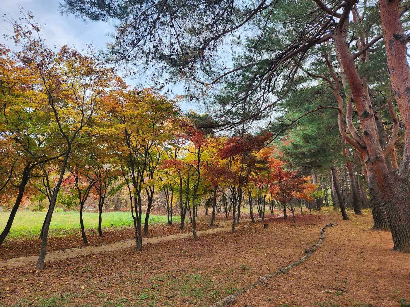 3bfca7c5239017e0fcc797fc45e714064097ab9f3c34dac14e67b1a995b260c6610ea8d8181388837546fa91b3c9339d334776d3e5c268e165daef7e75f0887b