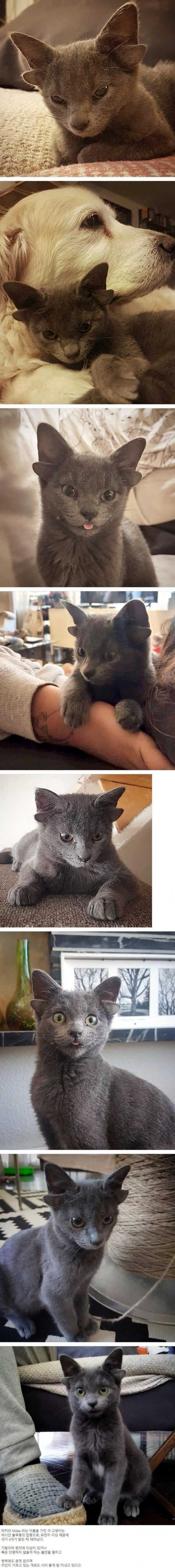 3d1f70bbb80754e9c0a84b84aad6ca54f3d8dd79baadbd915ff7e262d8f72d673f7213852dd34e7ad163a0c4e00cf9de833529dc78af83d61a34cee2124a4db8