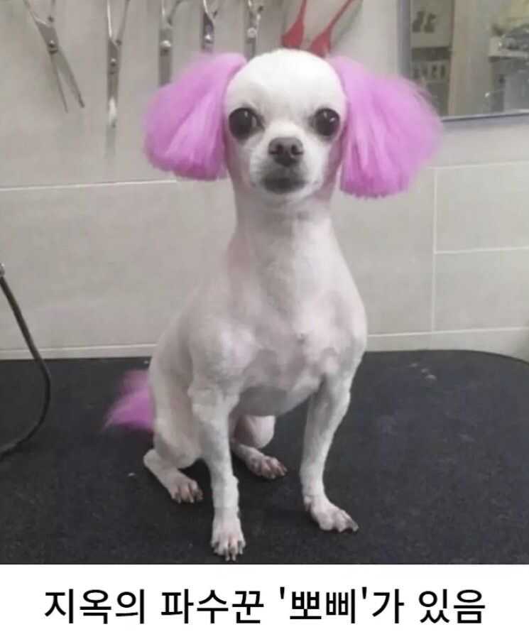 3d652656d62d75ffbdb32e820ab22c643e079caaddfc08c3b693edbe5d58f0a60d56ee81d855ef3225f00a373c1603a34d55b32354f036dcef2ad0e7c90ef786