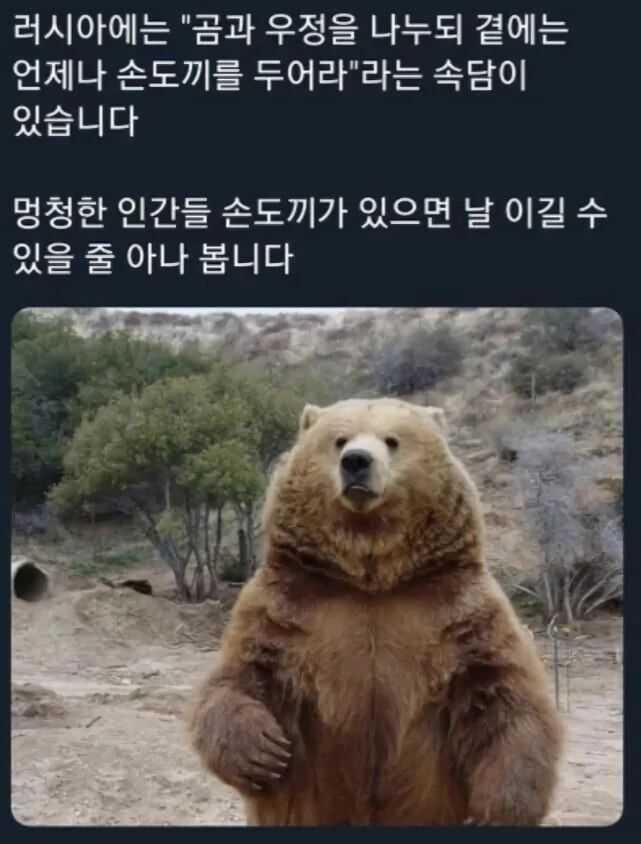 3dd866e982a55c495d72339d369891f70b69e6324512cffe72d602ebce1384cae5400840128e798f94425ab46e3818b17bdd9dfe74f0caaad5c7394026c6a881