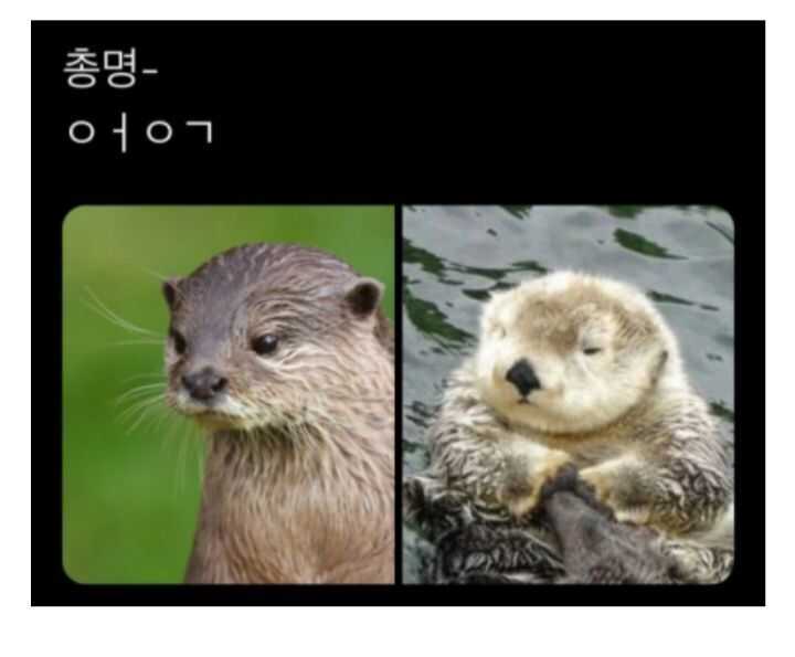 3e325819582170a0f8bfca8227f762f58d53b8be993d0c6508747e94269391e294d8f6d6560a95413a32ab973e64c69a13b1cc055d6665adade68bcada52d4a6