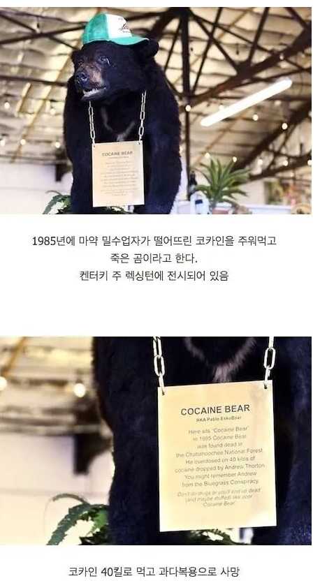 3fc317cd170ecb97d88076401858819b38846baeea6d0f6fea161887cfb4448e466f76b6ebdcd698505e3d2538cecc27421f2cb21201ee099cffa28559053cc4