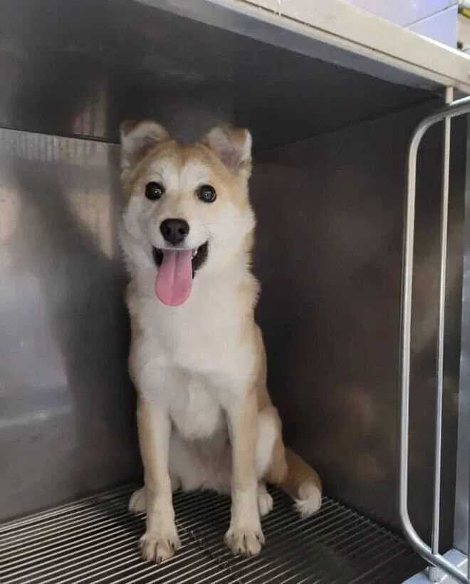 414026866021dfe90c51d15baa56fad9a72042bcb7859cfcd1db9c2b227618a13447a9b58d66160eb1d556d9a9bf148ba1820dd998b60a139cff2928079f420d