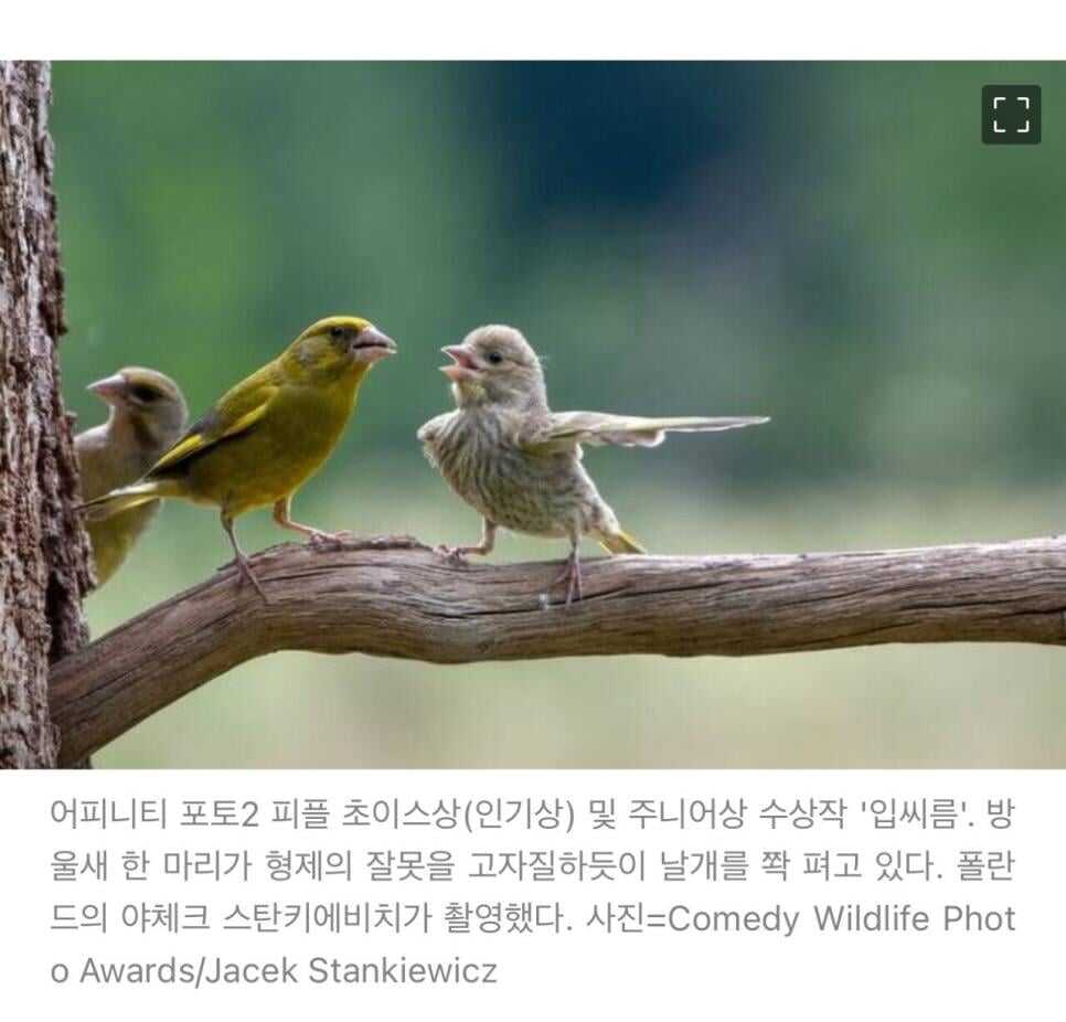 4185ab699fd1a6503db2cb5db5224215eff9ceeb8d20910306959f4f414e9f306b8826323798d281eb04318b728d457d6560923a11189115c7f2a02c0ad90b9e