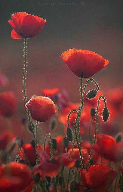 41bc4d5ea26121e3092e365f6955c180d1e24bdac17c8186722c807035cc3c599fa40da9ebc1f84187b41848cbdb783e6693854dc227acb8b3758ed1e3a01c68