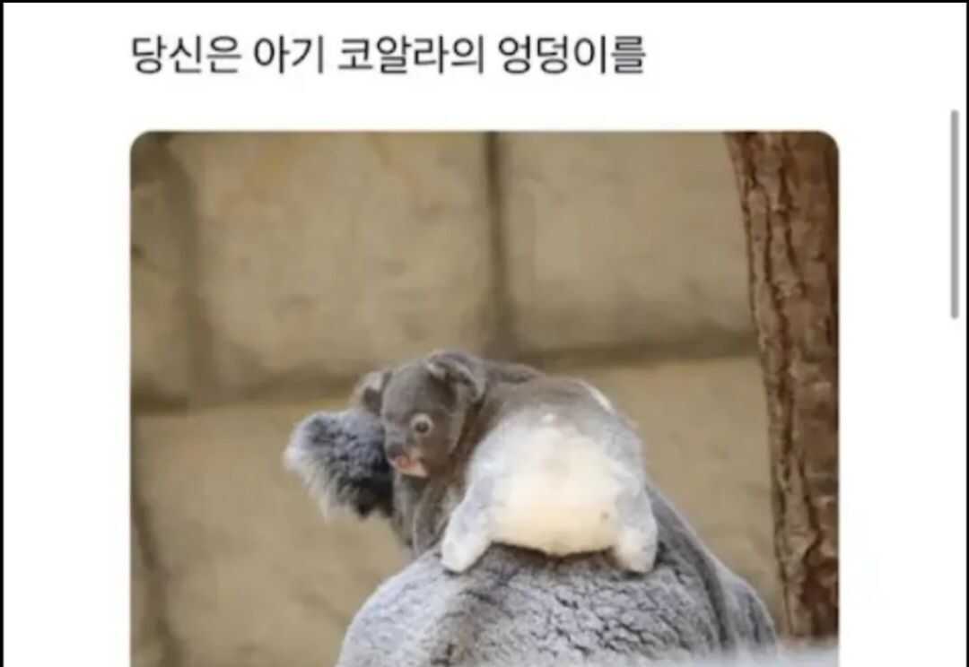 4275876e2b32be704eab474cea1b1493fb65bb8ad2572c33a1650cbe4b9abe239a27e37eaf896180b8f395cae593233bcfb7fbfe6933f6fcf882541cf0a38c61